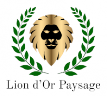 LION D'OR PAYSAGE